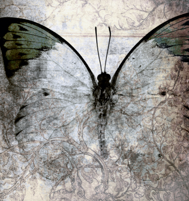 Abstract art - Butterfly Canvas