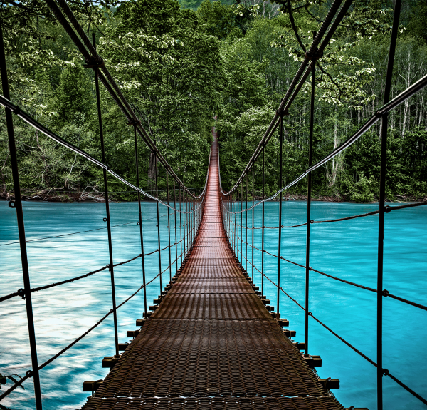 Nature art - Bridge of Dreams