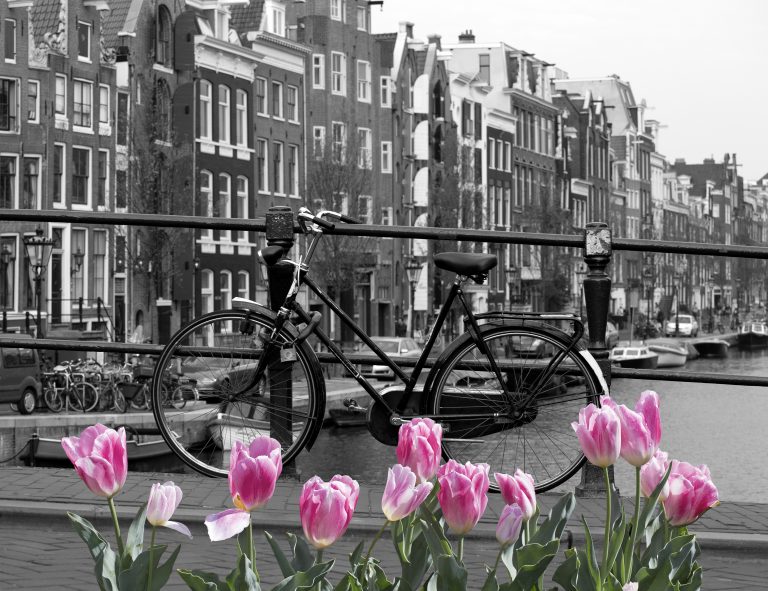 Urban art - Perfect Amsterdam
